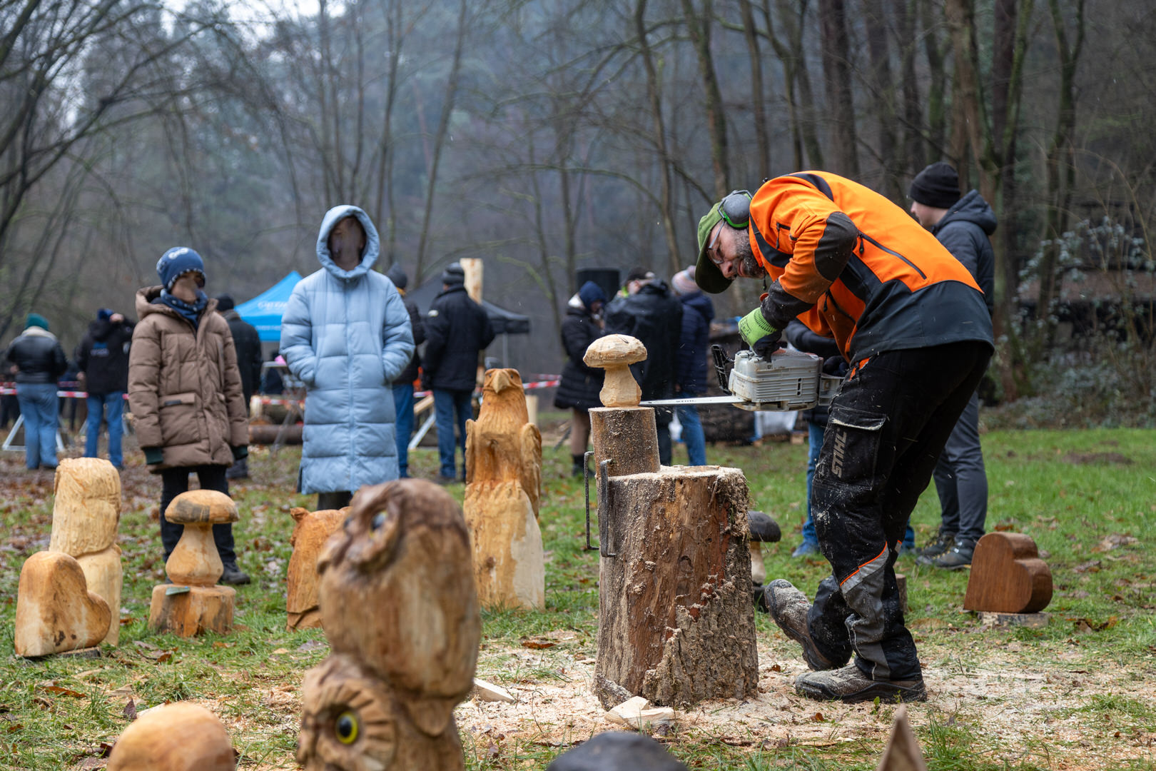 Notstromaggregat Holzversteigerung Rodgau